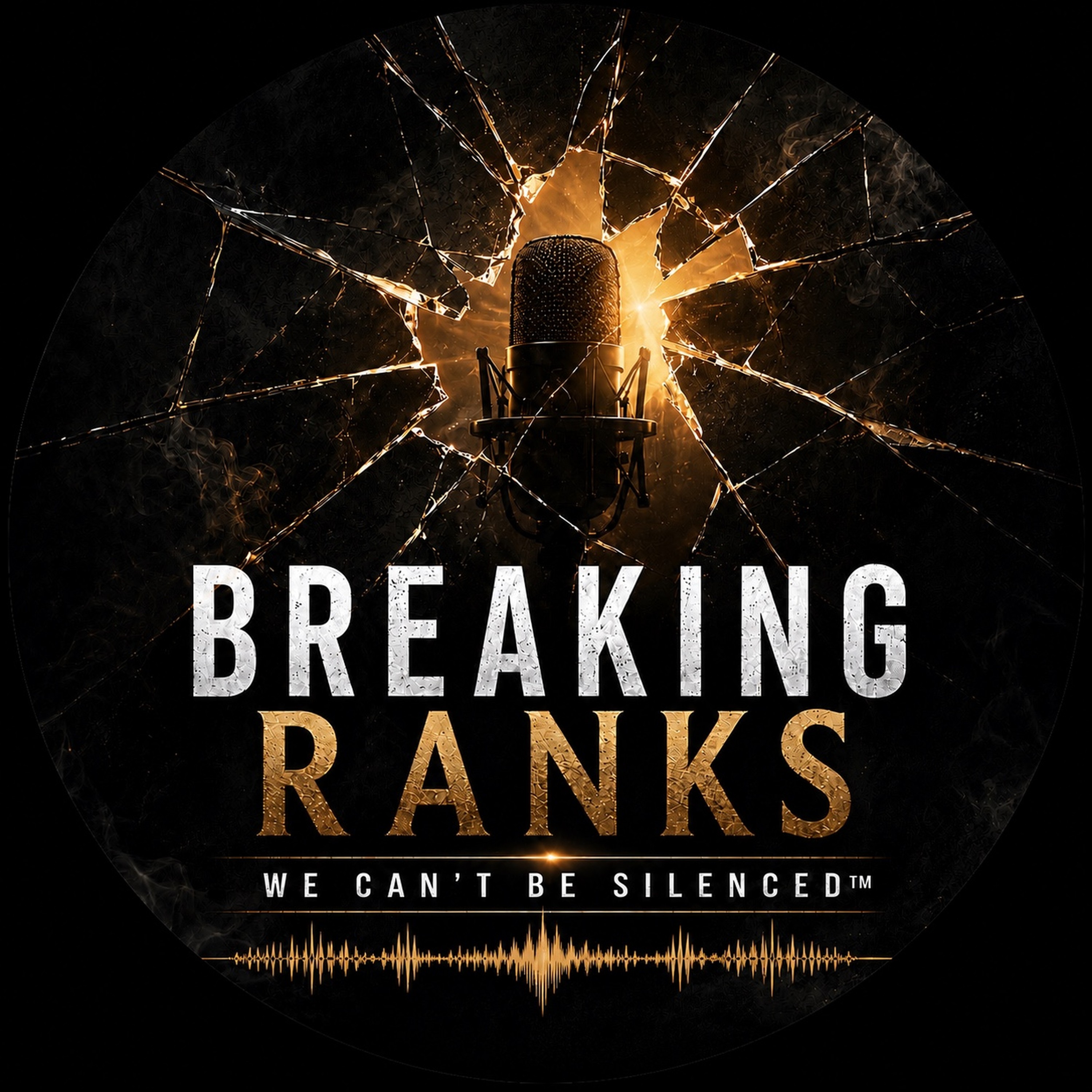 Breaking Ranks: We Can’t Be Silenced ™ cover art
