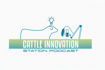 Cattle Innovation Station