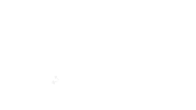 Moped Outlaws