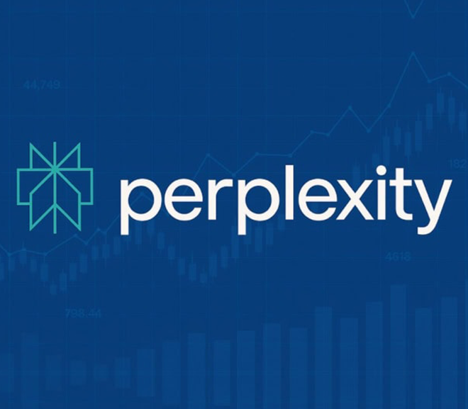 Perplexity